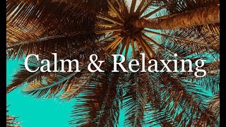 Clam & Relaxing Music | Sleep, Study, Meditative | 2 Hours