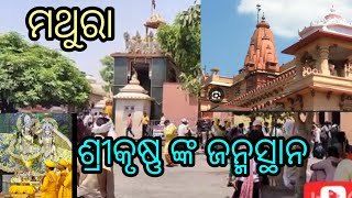 କୃଷ୍ଣ ଜନ୍ମଭୂମି ମଥୁରା ||ଶ୍ରୀକୃଷ୍ଣ ଙ୍କ ଜନ୍ମସ୍ଥାନ ||ମଥୁରା ||Radhe Radhe #risiguduvlogs