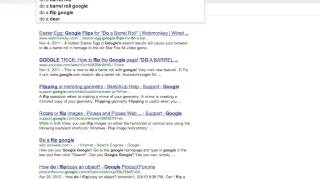 Google's "Do a barrel roll" bug