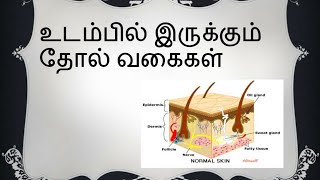 உடம்பில் இருக்கும் தோல் வகைகள்