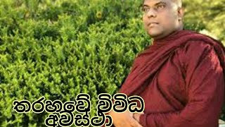 Sadaham sawana - කෝපයෙනි විවිධ අවස්ථා - Ven Galigamuwe Gnanadeepa Thero