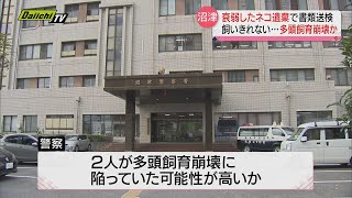 衰弱したネコ17匹を遺棄した疑い…沼津市に住む親子2人を書類送検 「多頭飼育崩壊」か（静岡県）