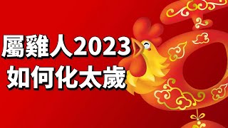 屬雞人2023年如何化太歲？情感、事業、財運