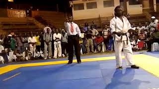 Kyokushin kai karate(3)