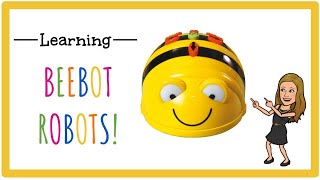 Library Lesson 5 - BeeBot Coding (K-1)