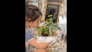 綠色星球– #苔球（#kokedama）DIY【#FulownA花藝設計】