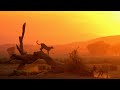 Savanna In Africa And Tribal Music - Safari Relaxing Meditation And Stress Relief