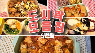 [ASMR]도시락 모음집 #5 | 돼지고기 가지솥밥🍆 | 애호박전과 곤약닭고기감자조림 | 닭가슴살또띠아 | 가지그라탕과 참치주먹밥 | 마파두부와 맛살계란전🍳 | 반찬추천