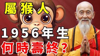 屬猴之人，1956年丙申年出生，2025年是69歲，何時壽終？【慧安說禪】#生肖 #財運 #運勢 #屬相 #風水 #命理