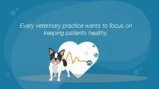The Importance of Managing Change in a Veterinary Clinic