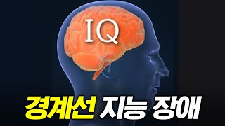 지능의 사각지대