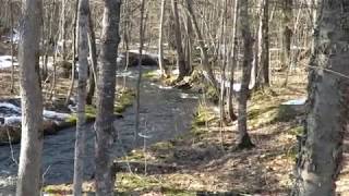 MVI 9022 Fish Ladder in Skanee