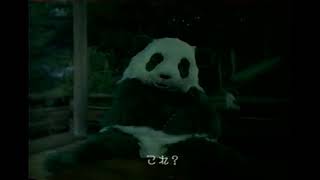 【懐かしいCM】なごみ　笹緑茶　ワタナベイビー　コカコーラ　2000年　Retro Japanese Commercials