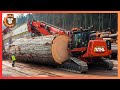 Extreme Dangerous Fastest Big Chainsaw Cutting Tree Machines | Monster Stump Removal Excavator #9