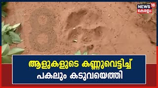 Wayanad Tiger Attack : പകലും കടുവയുടെ സാന്നിധ്യം ; ഭീതിയിൽ നാട്ടുകാർ | 18th December 2021