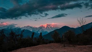 Relaxing Flute Music | Instrumental Indian Krishna Flute Music | Mediation and Relaxation Music 🎵 🎵