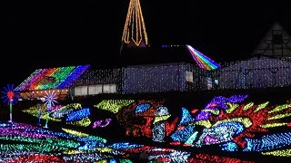 2024.12.15 東京ドイツ村　クリスマスイルミネーション