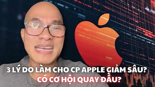 3 lý do làm cho cổ phiếu Apple giảm sâu? Có cơ hội quay đầu?