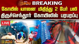 🔴LIVE : கோயில் யானை மிதித்து 2 பேர் பலி  | Elephant | Thiruchendur | News Tamil 24x7