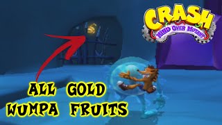 CRASH MIND OVER MUTANT - ALL GOLD WUMPA FRUITS