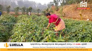 കിഴകൊമ്പിലെ യുവാക്കളില്‍ കൃഷി സംസ്‌കാരം ഉണര്‍ത്തി സജീവ പാര്‍ട്ടി പ്രവര്‍ത്തകനായ ബിനീഷ്