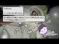 【2ch面白いスレ】「社会人って嘘ついたまま、大企業の部長の娘と婚約しそうなんだがｗｗ」【ゆっくり解説】【バカ】【悲報】