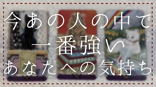 今あの人の中で一番強いあなたへの想い【恋愛・タロット・オラクル】