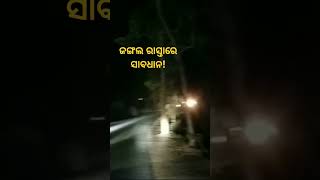 🐘🐘ଜଙ୍ଗଲ ରାସ୍ତାରେ ସାବଧାନ!#Be careful on the forest road#keonjhar#odisha