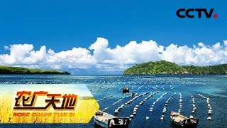 《农广天地》 20180402 大海深处鱼宝宝的安乐窝 | CCTV农业