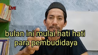 Bulan ini hati hati untuk para pembudidaya