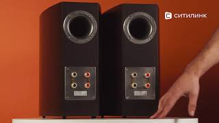 Обзор фронтальных колонок HECO Victa Prime 302 Espresso | Ситилинк