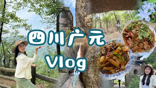 【四川广元Vlog】Day2下/剑门关剑阁县/猿猱道/李白/兰州周边游/蜀汉三国/一线天/蜀道难/唐诗/杜甫/纪念币/肥肠/攀岩/飞拉达/2024攻略/美食/爬山/周末游/中国/母女旅行/流水账