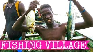 Tanji fishmarket, Banjul and crocodiles - aka The Gambia Part I - 2015 FULL HD