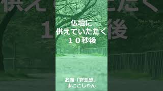 【川柳】今日の一句　2022年4月13日(水)の投稿　#Shorts