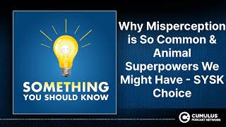 Why Misperception is So Common & Animal Superpowers We Might Have - SYSK Choice | Something You...