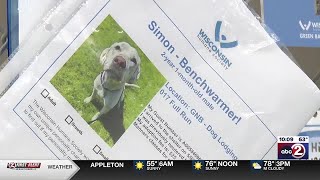 Wisconsin Humane Society reduces adoption fees for all dogs across the state