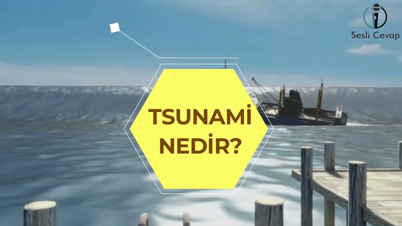 Tsunami Nedir? Neden Oluşur? Nerelerde Görülür? - YouTube