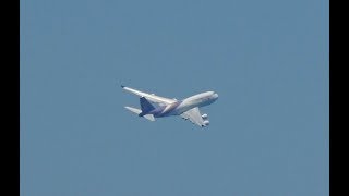 ✈✈ジャンボの離陸 タイ国際航空  (Thai Airways International) Boeing 747-4D7 HS-TGG  Take-off!! Haneda RWY05