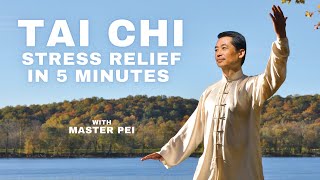Tai Chi for for Stress Relief - 5 Minute Routine to Relax, Renew & Reduce Stress