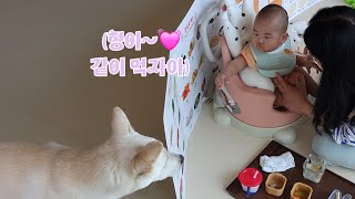 천백이의 사라진 식욕이 돌아온 이유?! | 콩 한 쪽도 나눠 먹는 의좋은 형제