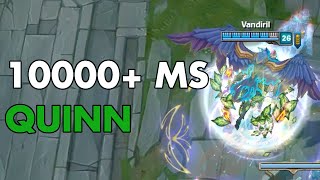 10000+ MS Quinn