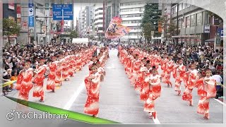 【4K】天空しなと屋 茜丸｜ズットマッスグニ（東京よさこい2015）