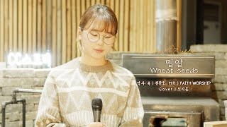 [오시은 찬양] 밀알 Wheat Seeds (천관웅 곡) Eng CC