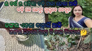 ବଡ଼ି ପକେଇଲେ କେତେ କଷ୍ଟ ଖାଇବାର ମଜା କହ ନାଈଁ ଯିଏ କରେ ସେ ଜାଣେ😡 ଜଙ୍ଗଲ ଏକଲା କାହିଁ ଯାଉଛି କାଁଣା ଆଣି.??