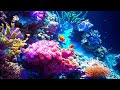 The Hidden World of Coral Reefs • 4K Ocean Discovery