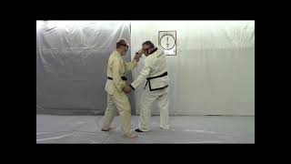 Aikido: 2 Course Strike Tenshi Nage