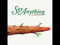 Say anything - Spidersong