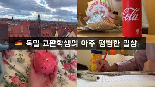 [독일교환학생브이로그/vlog#05]친구 생일파티,뉘른베르크여행,인종차별(?),공부하기,하루종일 먹기, 평범한 일상