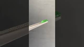 Tsavorite 1.24ct