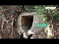 舂坎角路線｜赤柱古道｜百年石拱橋｜獅子坑｜老虎坑｜stanley｜chung hom kok｜ancient road｜hong kong travel｜香港旅遊景點｜ e.a.two｜兩隻嘢玩乜好